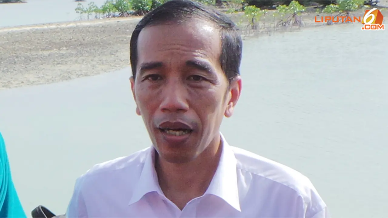 jokowi-pantai-130611b.jpg