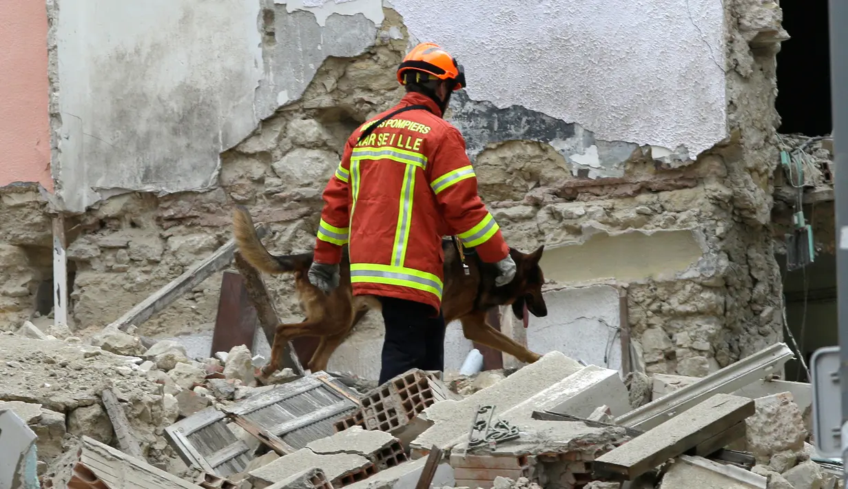 Petugas menggunakan anjing pelacak untuk menemukan korban  terperangkap di puing bangunan yang runtuh di Marseille, selatan Prancis, Senin (5/11). Belum diketahui secara pasti penyebab runtuhnya dua bangunan tersebut. (AP/Claude Paris)