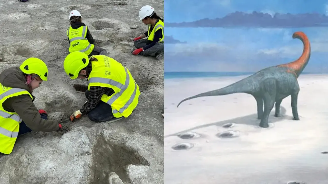 Penemuan Ratusan Jejak Kaki Dinosaurus