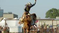 45 Cowboy Jokes That Will Make You Laugh Out Loud