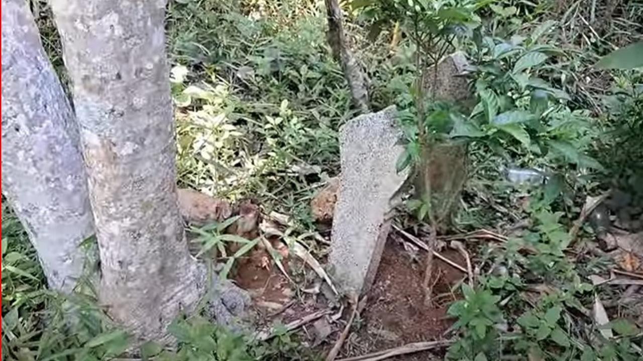 Kawasan Hutan Jati Terpencil di Semarang Ini Dulunya Tempat Pembantaian Anggota PKI, Cerita Saksi Hidup Bikin Merinding