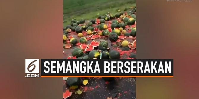 VIDEO: Truk Tabrakan, Ratusan Semangka Berserakan di Jalan