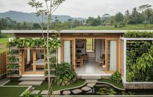 8 Desain Rumah Sederhana namun Mewah dengan Gaya Japandi dan Taman Mini 2025, Ideal untuk Keluarga Muda