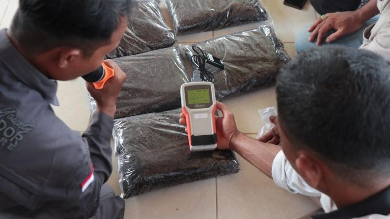Trivia: Cabai Merah Penyumbang Inflasi, BI Gelar Pelatihan Cabai Teknologi Aceh untuk Petani