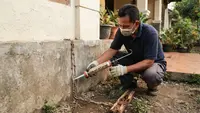 9 Cara Atasi Rayap di Rumah, Cegah Kerusakan Makin Parah