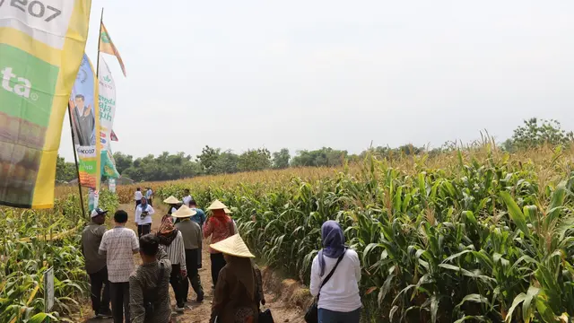 Kementan Tingkatkan Kemudahan Usaha Bagi Investor Pertanian