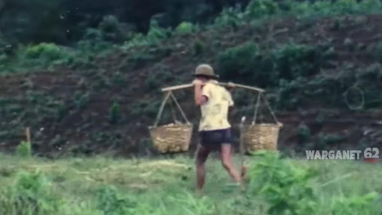 Suasana Kampung Masih Dipenuhi Sawah dan Hutan