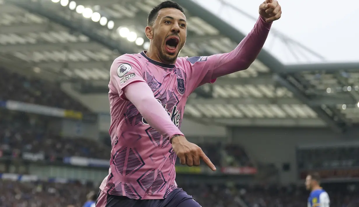Tambahan tiga poin sementara membawa Everton menjaga jarak dari zona degradasi.  (Adam Davy/PA via AP)