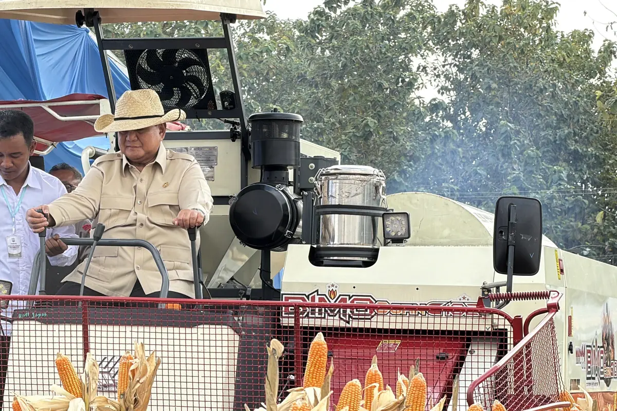 Presiden Prabowo Subianto saat menaiki traktor jenis Combine Corn Harvester saat panen raya jagung di Tuban, Jawa Timur. (Liputan6.com/Lizsa Egeham)