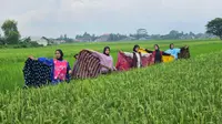 Fashion Show Batik Batang, Yang Muda Saatnya Berkarya