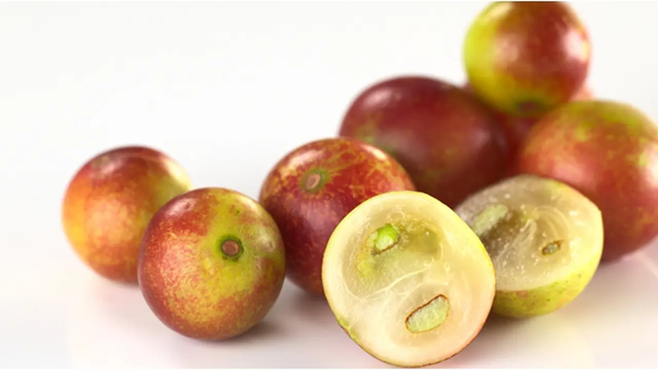 Courtesy ShutterStock.com