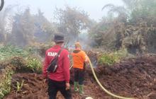 Taman Nasional Sembilang Terbakar, Petugas Berjibaku Padamkan Api