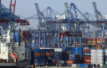 Tak Mau Seperti Vietnam, RI Tegas Tolak Ekspor Transshipment ke AS