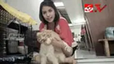 liputan6