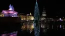 Sebuah pohon Natal raksasa terlihat setelah tradisi penyalaan lampu di Trafalgar Square, 7 Desember 2017. Setiap tahun London mendapat pohon Natal dari Norwegia sebagai tanda terima kasih atas dukungan Inggris selama perang dunia II (AP Photo/Matt Dunham)