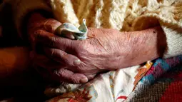 Kedua tangan nenek Emma Morano yang saling menggenggam saat berdoa merayakan ulang tahun ke-117 di rumahnya di Verbania, Italia, (29/11). Emma lahir pada 29 November 1899, dimana Umberto I masih memerintah Italia. (REUTERS/Alessandro Garofalo)