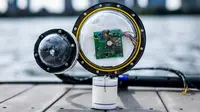Kamera bawah air nirkabel tanpa baterai yang dikembangkan di MIT dapat memiliki banyak kegunaan. Kredit: Adam Glanzman via MIT News
