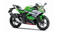 Kawasaki Ninja RR Mono ABS Livery WSBK Dibanderol Rp 51,9 Juta