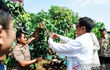 Kemenko PMK Optimalkan Pemberdayaan Masyarakat Berbasis Kawasan untuk Entaskan Kemiskinan Ekstrem
