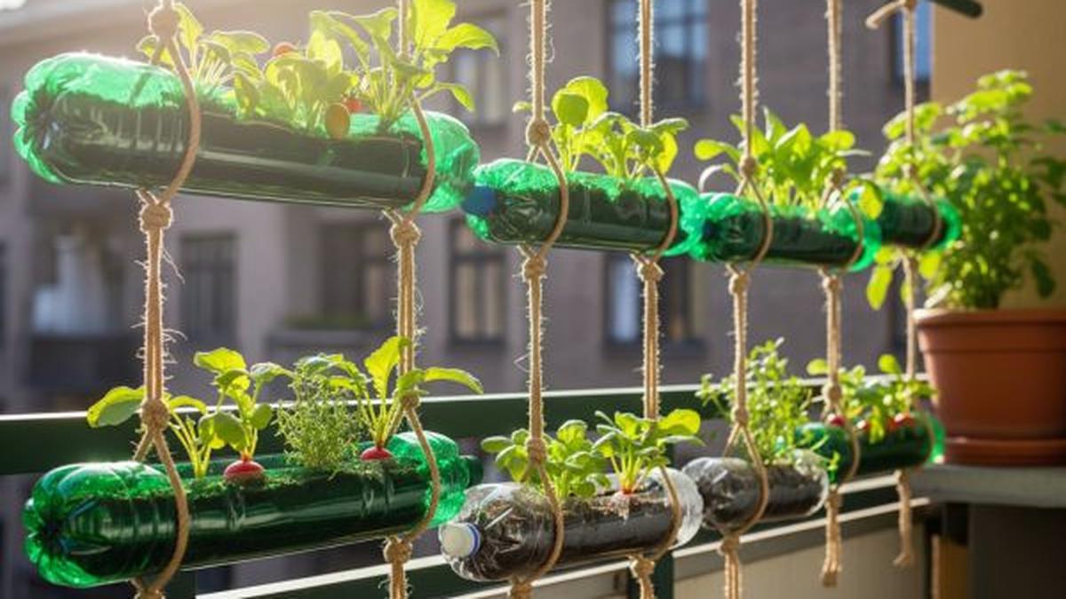 12 Desain Kebun Sayur Pocket Garden dari Botol Plastik Bekas, Sentuhan Kreativitas Berkelas