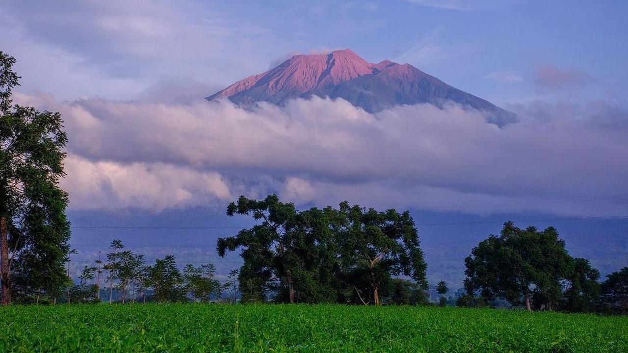 4 Kebun Teh Indah di Sumatra Barat, Ada yang Menjadi Produsen Teh Terbesar Hingga Spot Agrowisata