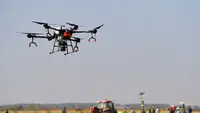 Sentuhan Digital Ubah Kebun Pir Yulu di Kabupaten Xi Tiongkok Utara Jadi Pertanian Cerdas