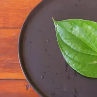 Benarkah Daun Sirih Bisa Atasi Keputihan? (Ideapadx69/Shutterstock)