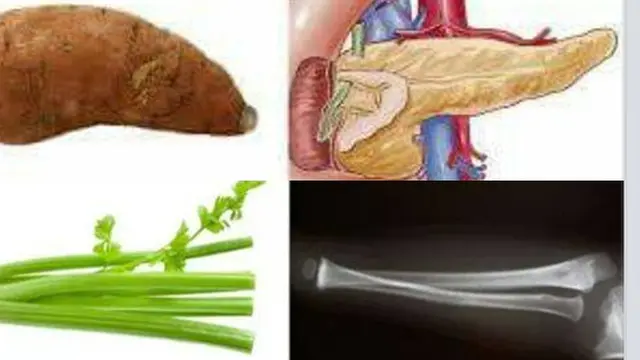 Copyright by facebook.com/Ida Zubaida