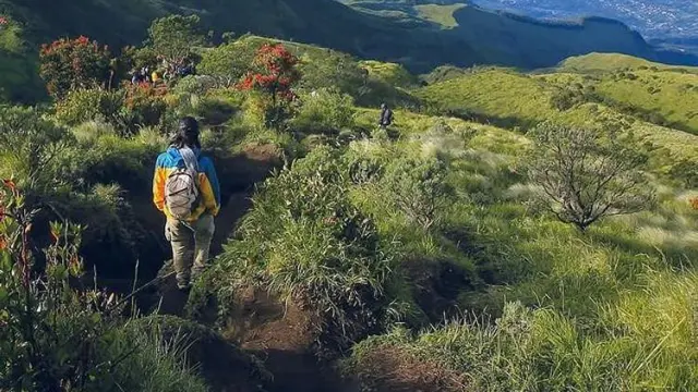 Jalur pendakian Gunung Merbabu