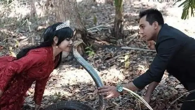 6 Prewedding Ekstrem Tema Ular Ini Bikin Merinding, Enggak Habis Pikir