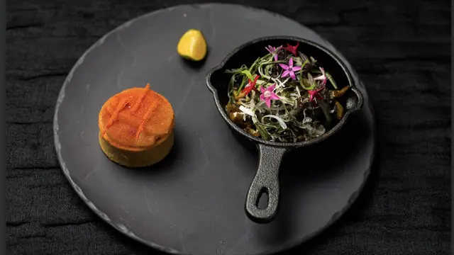 Where Your Senses Feast