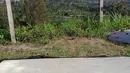 Pemandangan Gunung Merapi terlihat dari Pos Pengamatan Gunung Api Jrakah, Kecamatan Selo, Boyolali, Jawa Tengah, Minggu (8/11/2020). BPPTKG melaporkan adanya potensi erupsi akibat aktivitas vulkanik Gunung Merapi, seperti guguran lava, lontaran material hingga awan panas. (Liputan6.com/Gholib)