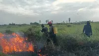 115 Titik Panas Terdeteksi di Lampung