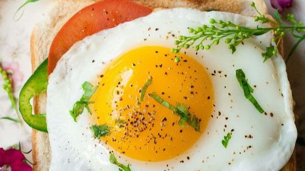 <b>2. Telur</b>