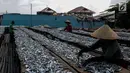 Pekerja menjemur ikan saat proses pengasinan di kawasan Muara Angke, Jakarta, Senin (26/11). Nelayan mengaku produksi ikan asin di muara angke mengalami penurunan, disebabkan terhambatnya proses pengeringan di musim hujan. (Liputan6.com/Faizal Fanani)
