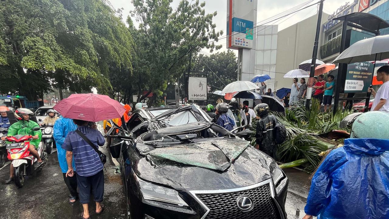 FOTO: Pohon Tumbang Timpa Mobil Mewah di Pondok Indah, Supir Tewas di Tempat
