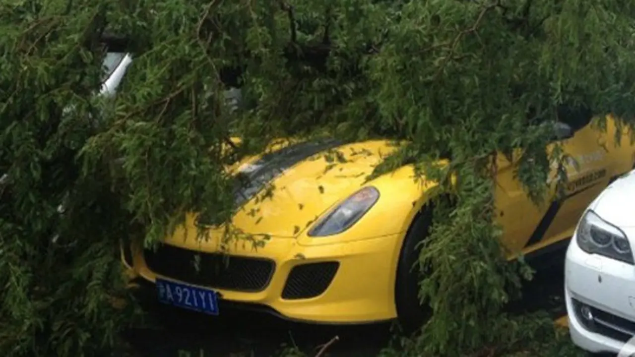 Ferrari 599 GTO Tertimpa Pohon (carnewschina)