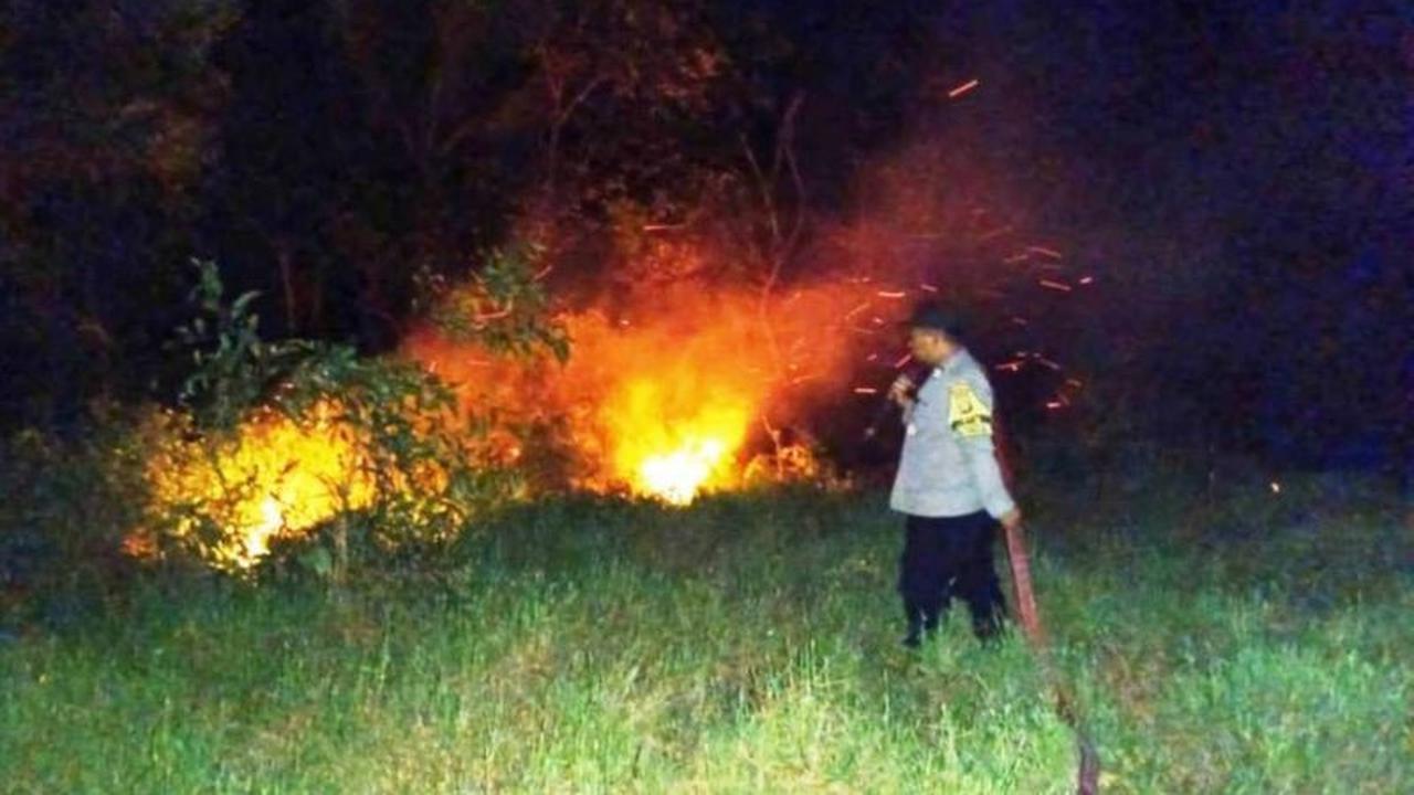 Potensi Karhutla Kaltim Meningkat, BMKG Deteksi 151 Titik Panas