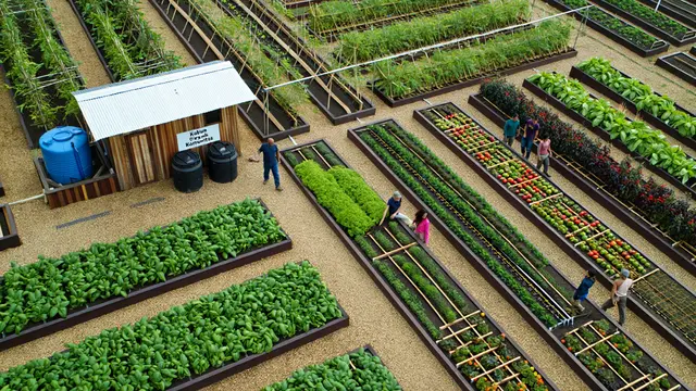 Ide Kebun Sayur Komunitas yang Bisa Dijual Hasilnya (AI)