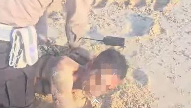 Aksi Heroik Polantas di Kupang Bekuk Pelaku Pencurian yang Nekat Lompat ke Laut