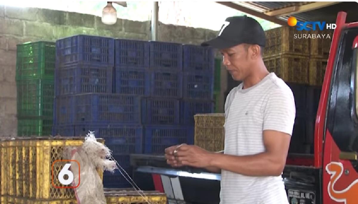 Ujang, pemilik pabrik pengolahan bekicot di Kediri