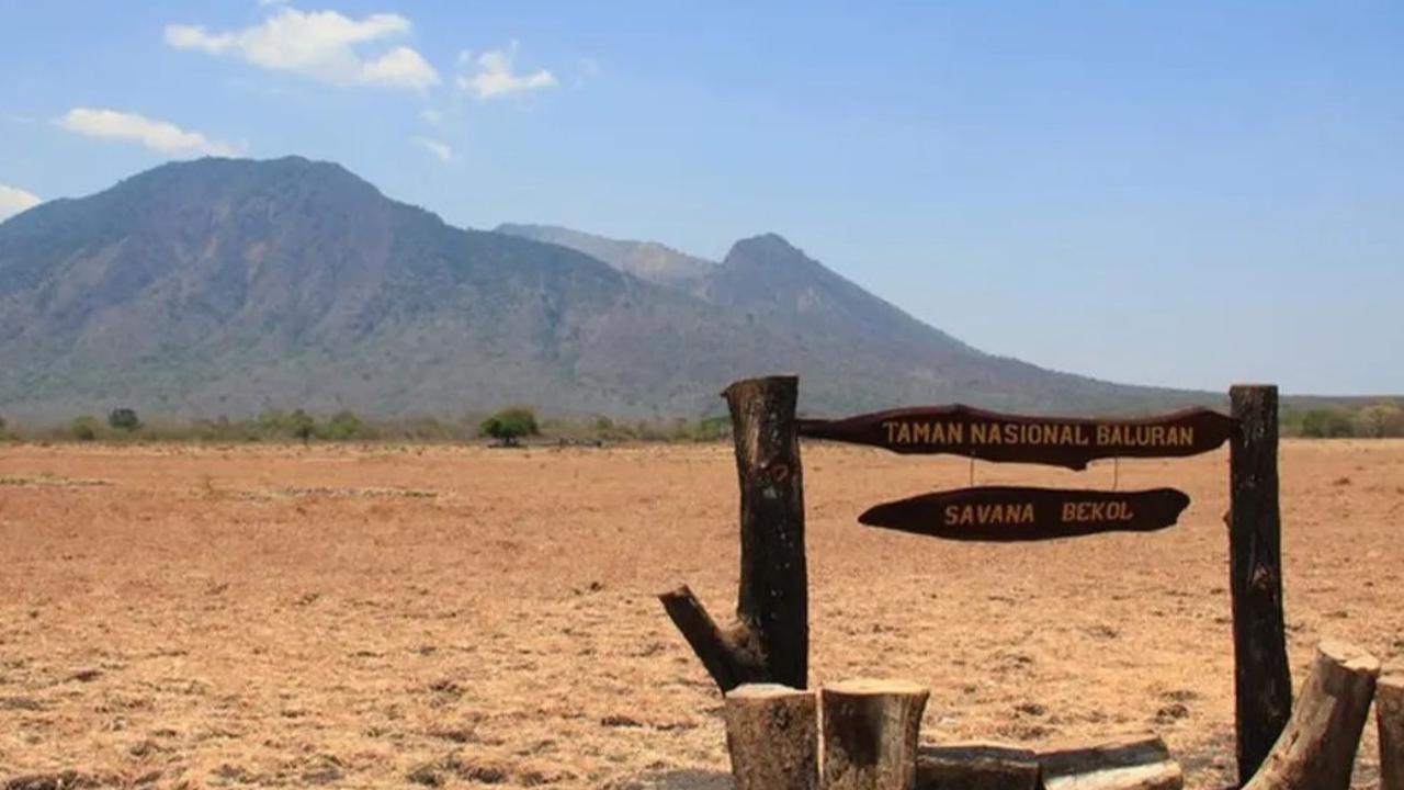 Tutup untuk Wisatawan