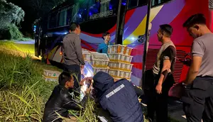 Disembunyikan di Bagasi Bus, 670 Burung Gagal Diselundupkan ke Jakarta