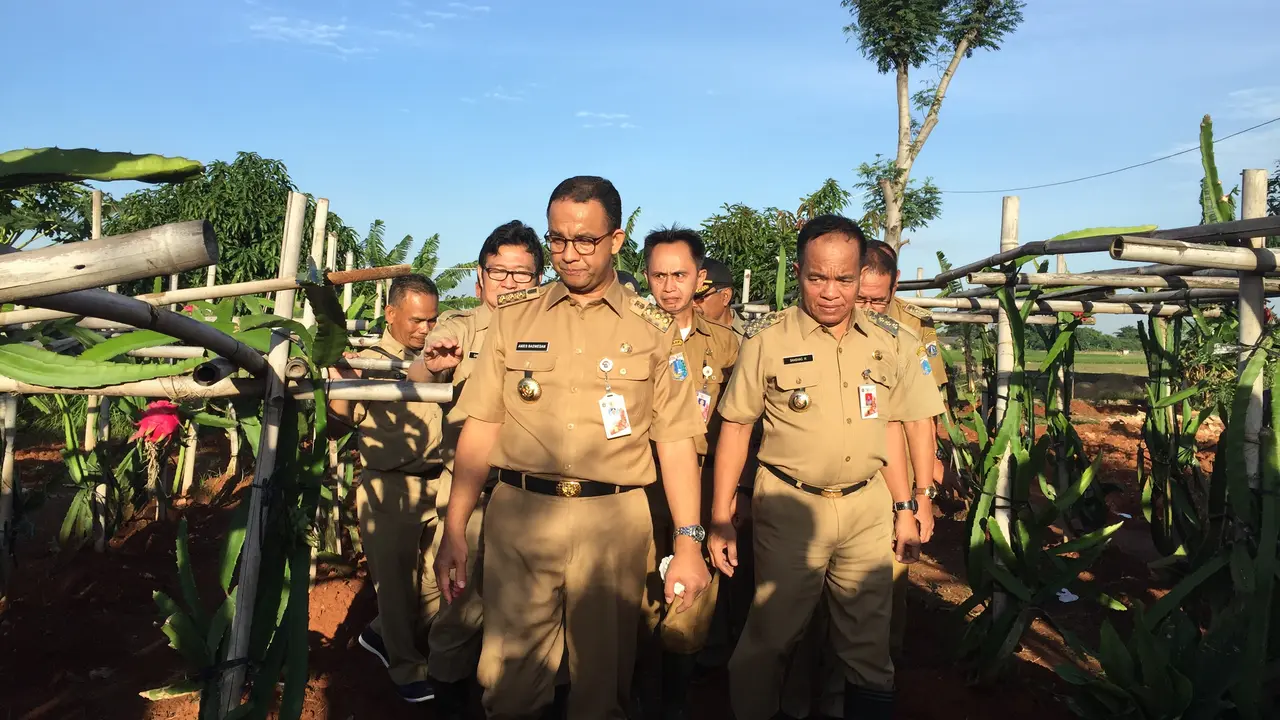Gubernur DKI Jakarta Anies Baswedan mengunjungi areal pertanian di Jalan Inspeksi Sisi Timur BKT RW 08, Cakung, Jakarta Timur. (Liputan6.com/Devira Prastiwi)