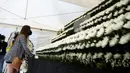 Seorang pelayat meletakkan bunga untuk memberikan penghormatan bagi para korban tragedi Halloween Itaewon di altar peringatan bersama yang dipasang dekat tempat kejadian di Seoul, Korea Selatan, Senin (31/10/2022). Tragedi Halloween Itaewon menewaskan lebih dari 150 orang dan menjadi bencana terburuk Korea Selatan dalam beberapa tahun. (AP Photo/Lee Jin-man)