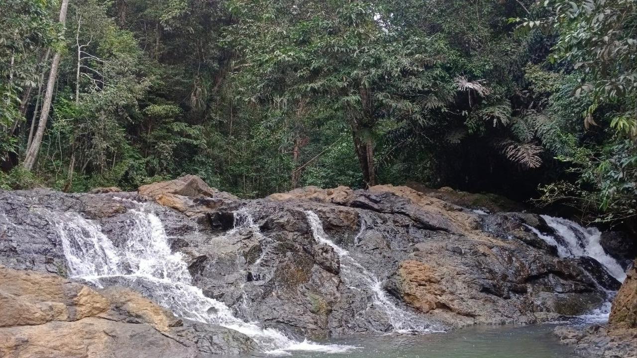 Untuk diketahui, lokasi air terjun Doyam Turu Lempesu juga berdekatan dengan Gunung Embun atau Gunung Boga yang kini tengah poluler di Bumi Daya Taka. Tentunya, ini jadi daya tarik tersendiri bagi destinasi wisata di Kabupaten Paser.