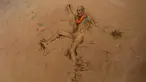 Seorang lelaki tua jatuh ke lumpur sawah saat merayakan Asar Pandra atau hari menanam padi di Distrik Dhading, Nepal, Minggu (30/6/2019). Umat Hindu Nepal menganggap Asar Pandra sebagai hari baik untuk menanam padi. (AP Photo/Niranjan Shrestha)