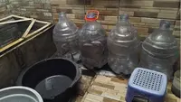 Modal dan Keuntungan Ternak Lele di Galon Bekas, Peluang Usaha Rumahan Minim Lahan Untung Maksimal