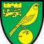 Norwich City Football Club atau biasa disebut Norwich City adalah sebuah klub sepak bola profesional asal Inggris
