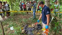 Viral Penemuan Kerangka Manusia Berjaket di Kebun, Diduga Lelaki